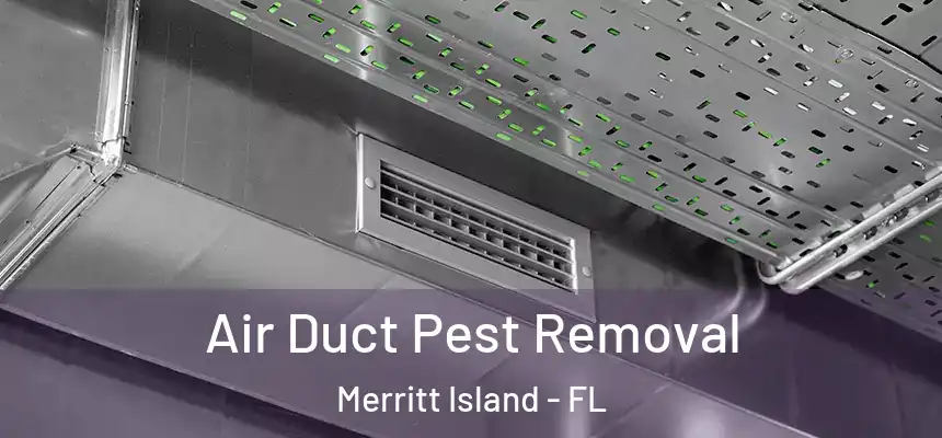 Air Duct Pest Removal Merritt Island - FL