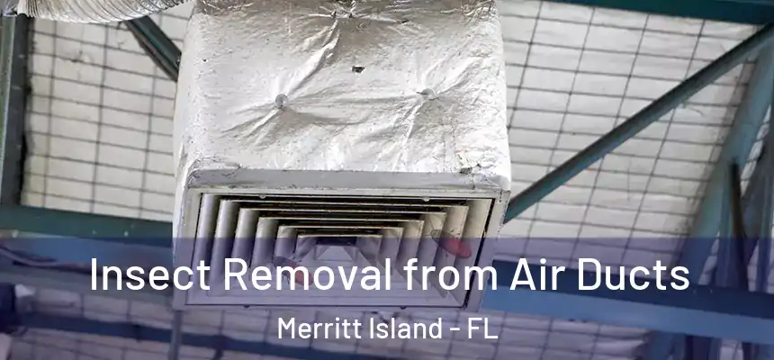 Insect Removal from Air Ducts Merritt Island - FL
