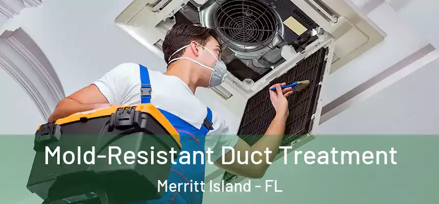 Mold-Resistant Duct Treatment Merritt Island - FL