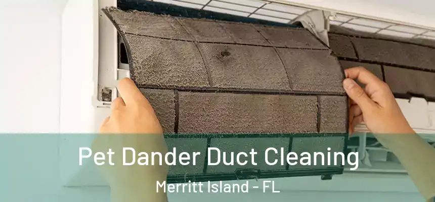 Pet Dander Duct Cleaning Merritt Island - FL