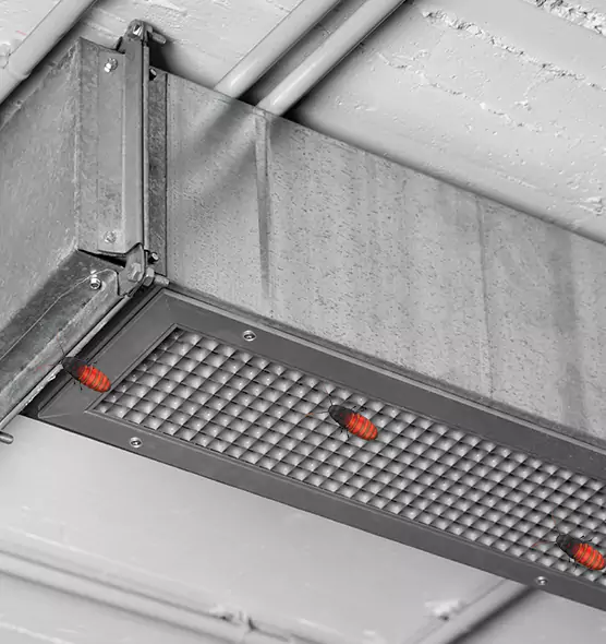 About Air Duct Cockroach Removal in Merritt Island, FL