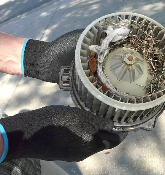 About Air Duct Mice Removal in Merritt Island, FL