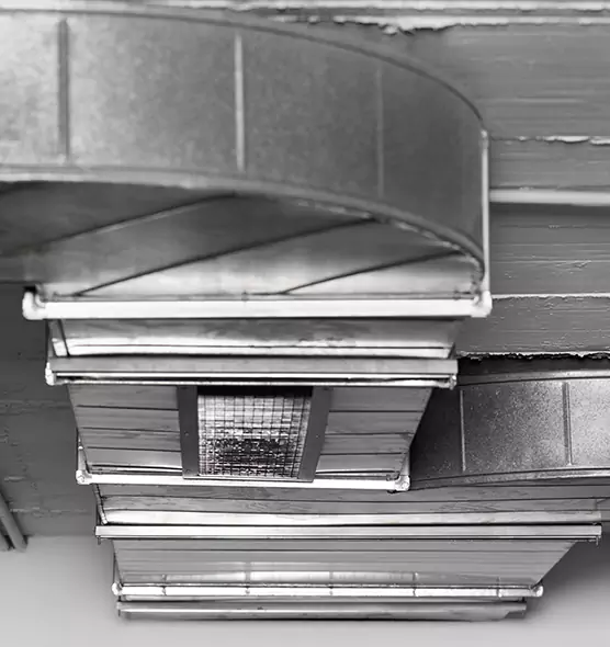 Professional Air Duct Pest Removal in Merritt Island, FL