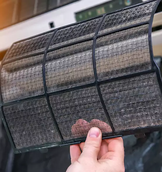 About Pet Dander Duct Cleaning in Merritt Island, FL